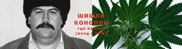 первитин Дмитриев