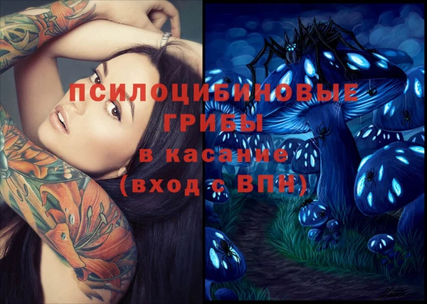 хмурый Туринск