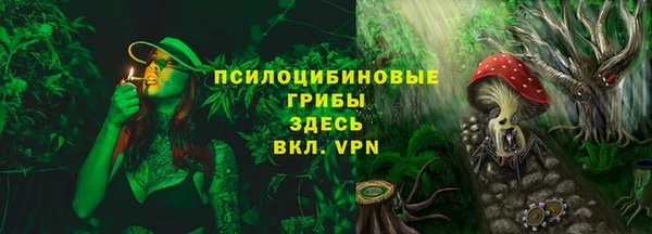 первитин Дмитриев